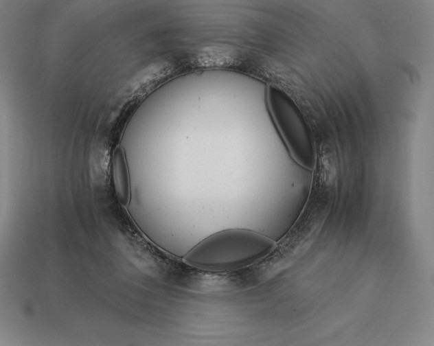 X0000113170308200909181837