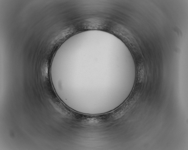 X0000113170310200909181837