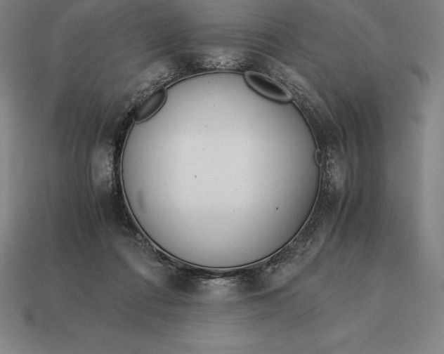 X0000113170312200909181837