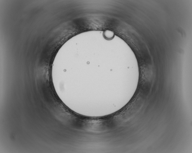 X0000113170313200909181837