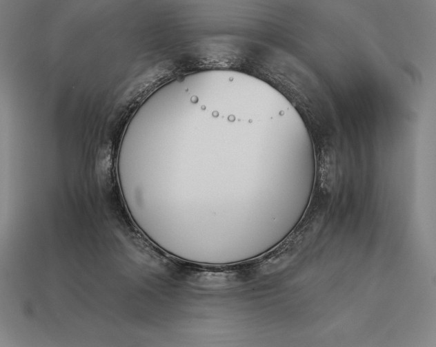 X0000113170314200909181837