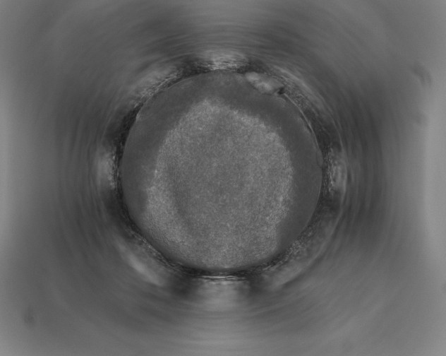 X0000113170316200909181837