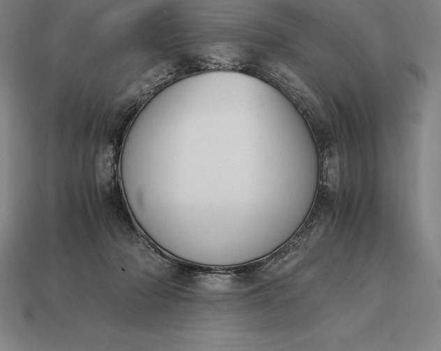 X0000113170318200909181837