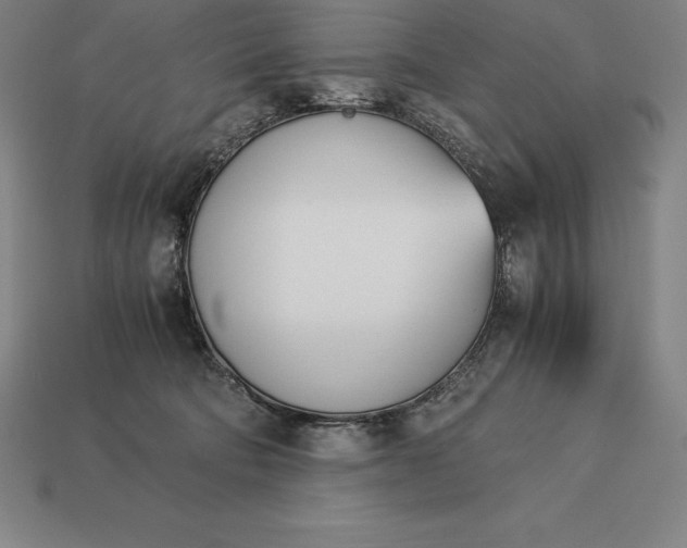 X0000113170322200909181837