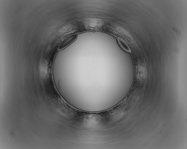 X0000113170324200909181837