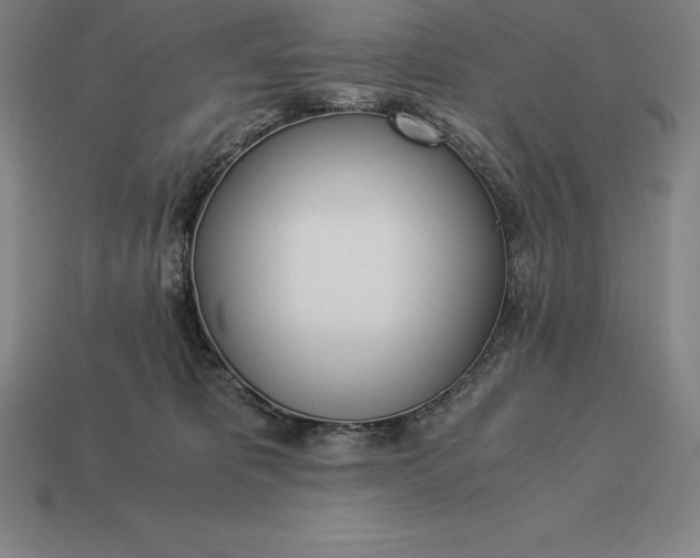 X0000113170325200909181837