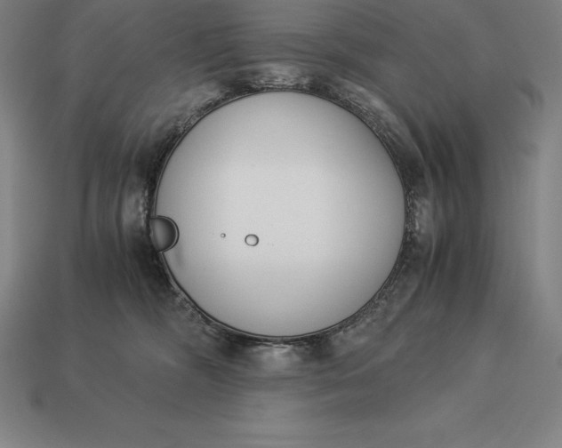 X0000113170326200909181837