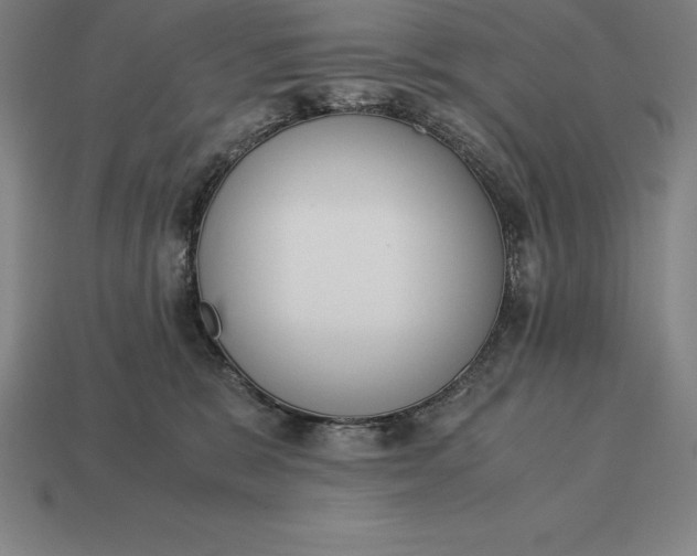 X0000113170327200909181837