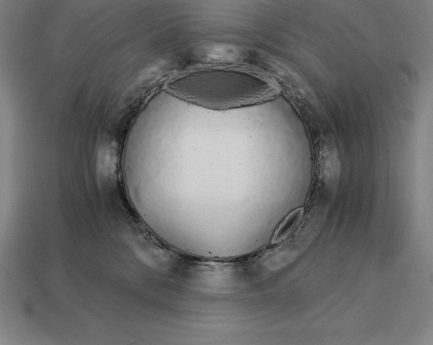 X0000113170328200909181837