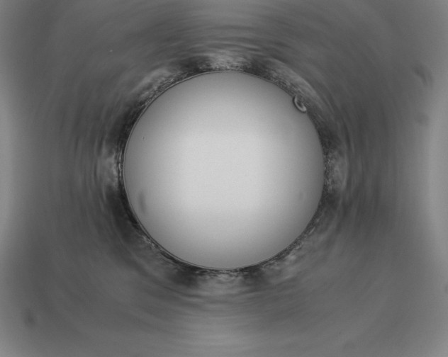 X0000113170329200909181837