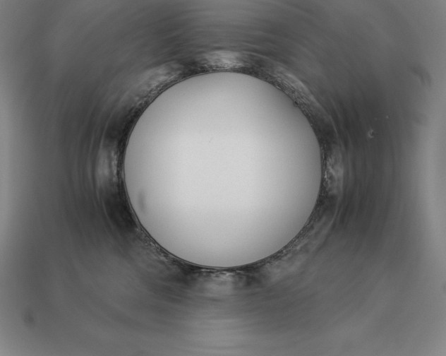 X0000113170330200909181837