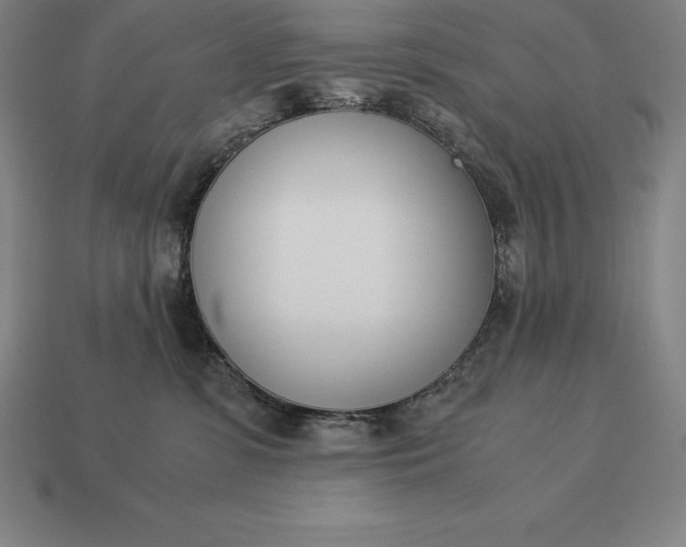 X0000113170331200909181837