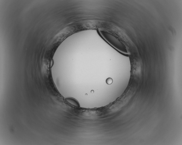 X0000113170332200909181837