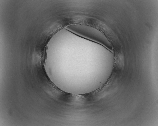 X0000113170333200909181837