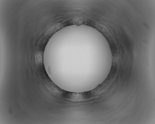 X0000113170335200909181837