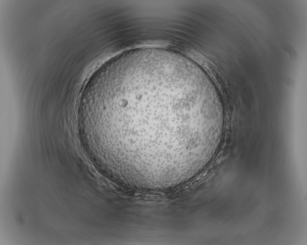 X0000113170337200909181836