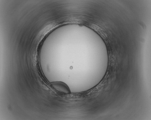 X0000113170338200909181836