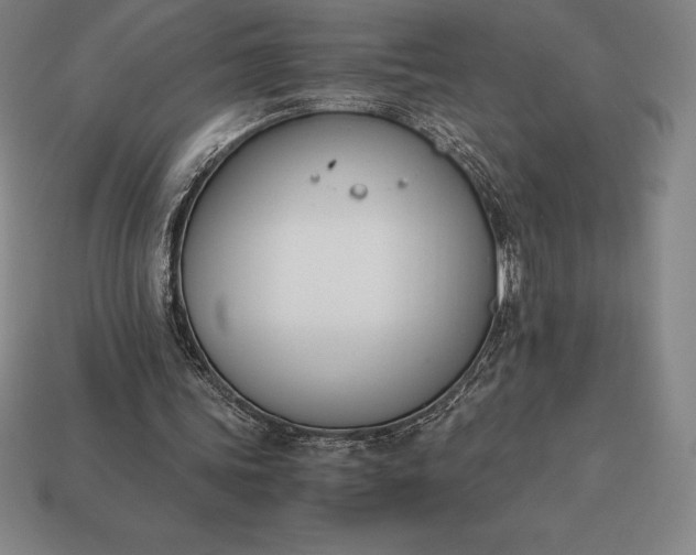 X0000113170339200909181836