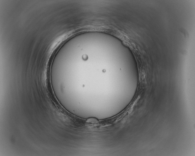 X0000113170340200909181836