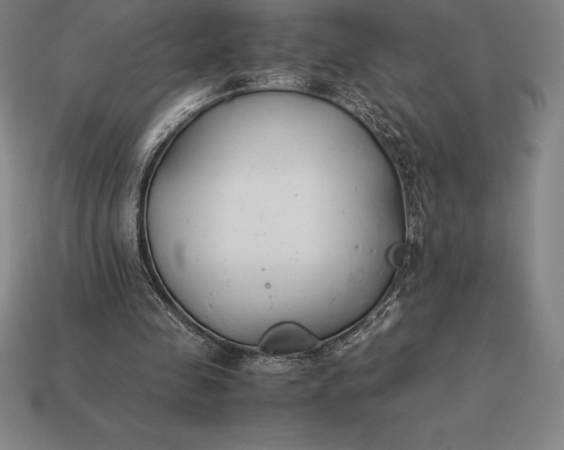 X0000113170341200909181836