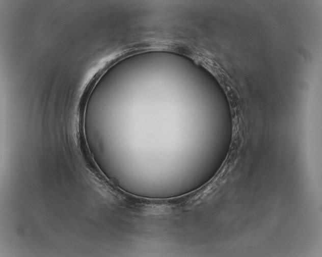 X0000113170342200909181836