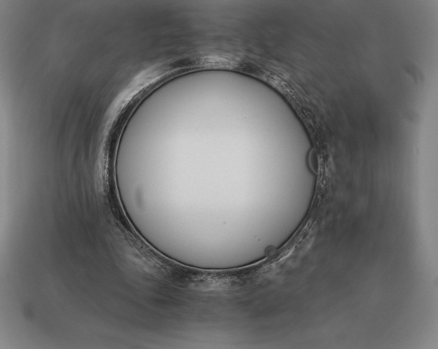 X0000113170343200909181836