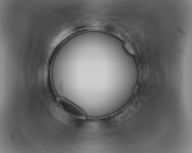 X0000113170344200909181836