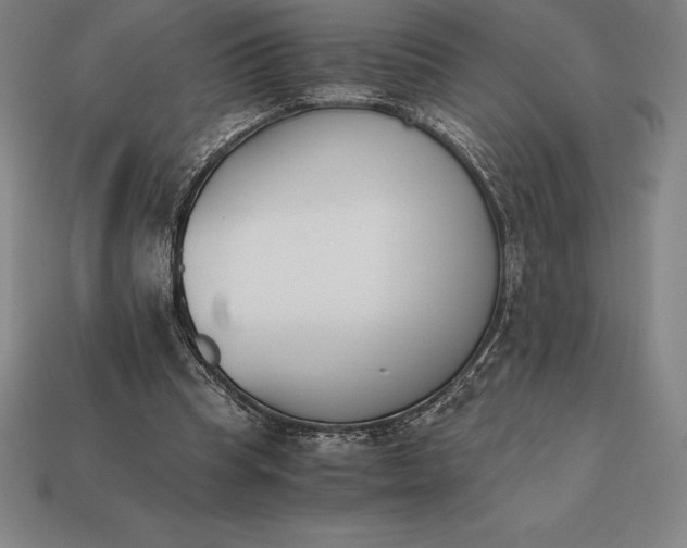 X0000113170345200909181836