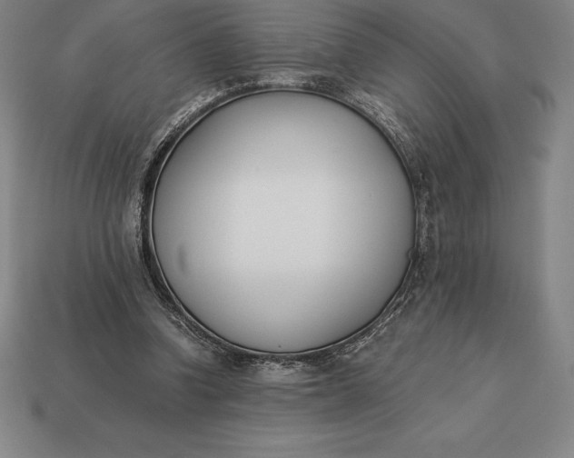 X0000113170346200909181836