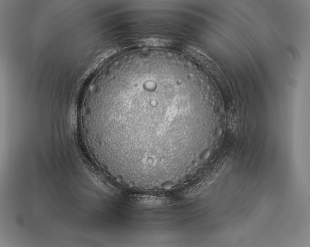 X0000113170347200909181836