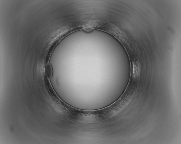 X0000113170348200909181836