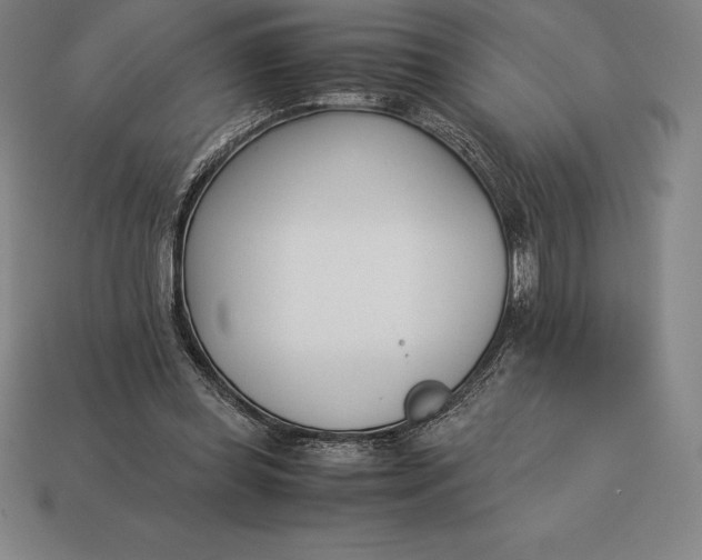 X0000113170349200909181836