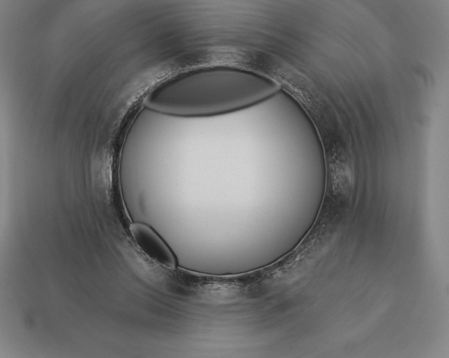 X0000113170350200909181836