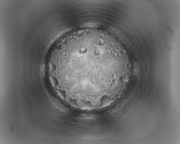 X0000113170351200909181836