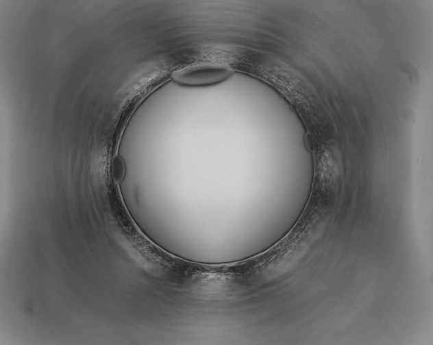 X0000113170352200909181836