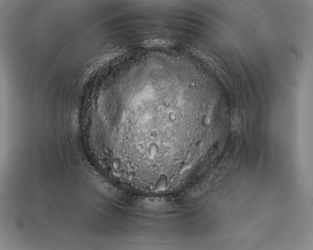 X0000113170353200909181836