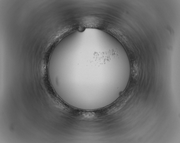 X0000113170355200909181836