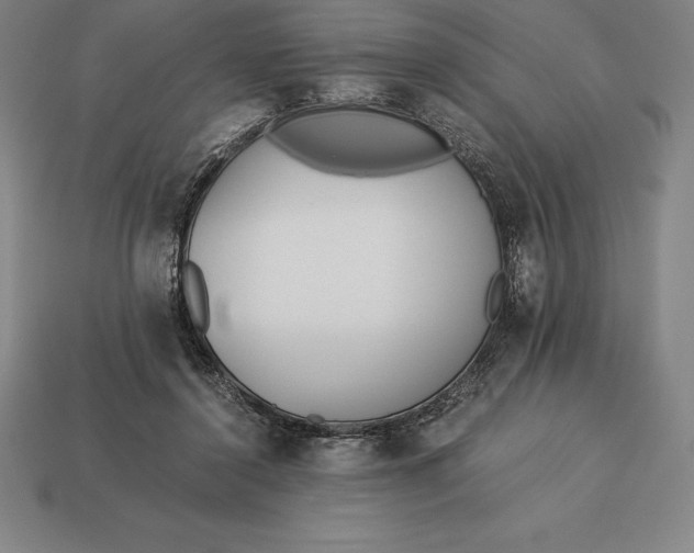 X0000113170356200909181836