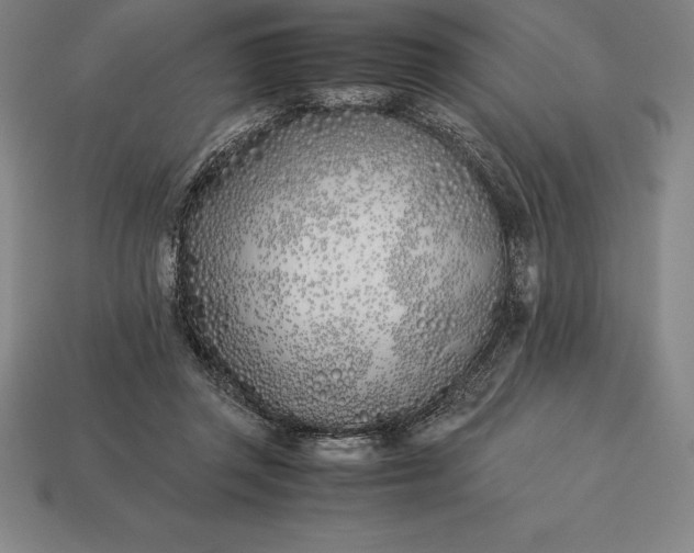 X0000113170357200909181837