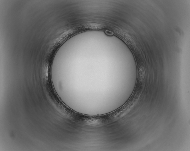 X0000113170358200909181837