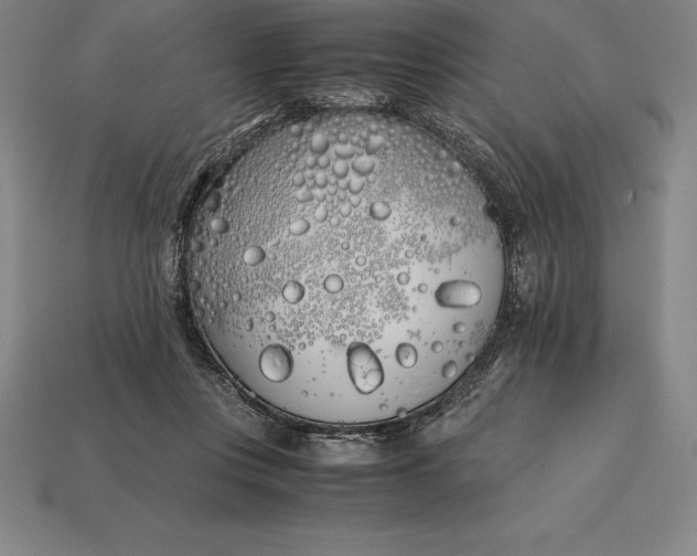 X0000113170359200909181837