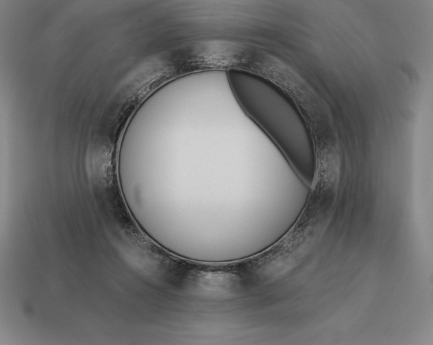 X0000113170360200909181837