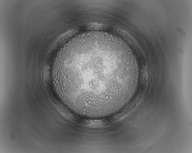 X0000113170361200909181837