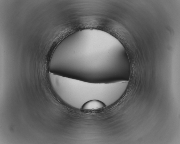 X0000113170362200909181837