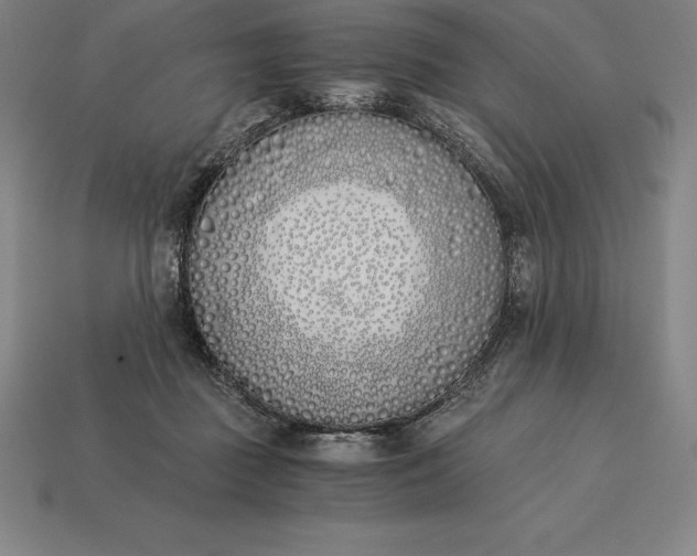 X0000113170363200909181837