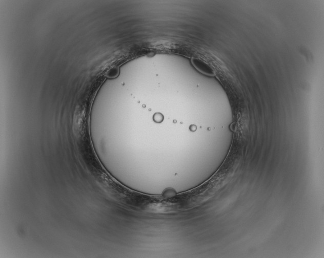 X0000113170364200909181837