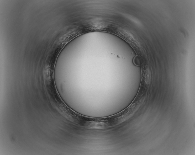 X0000113170366200909181837