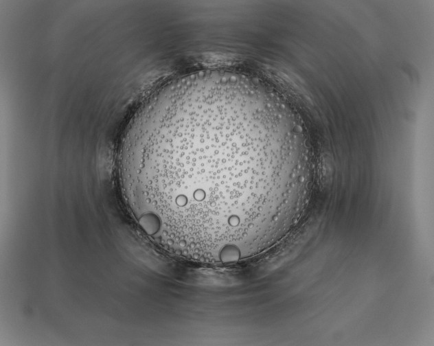 X0000113170367200909181837