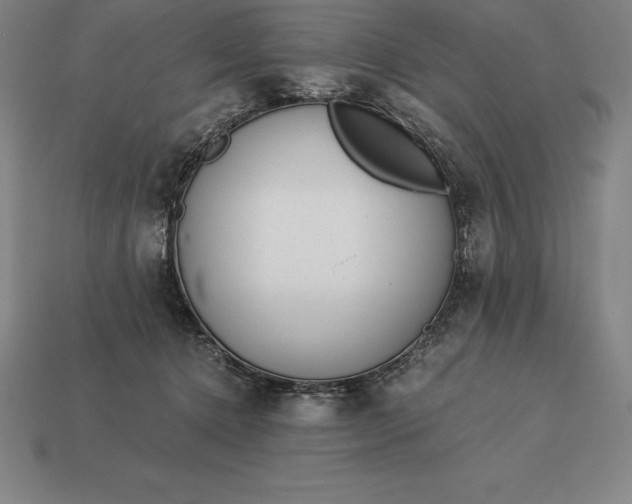 X0000113170368200909181837