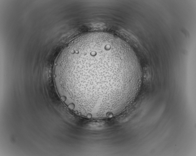 X0000113170369200909181837